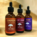 “Focus • Energy • Calm” Functional Mushroom Tincture Trio