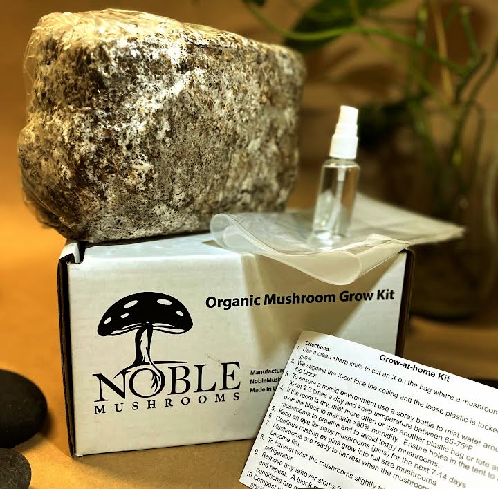 Grow Your Own Mushroom Kit — Complete Starter Set