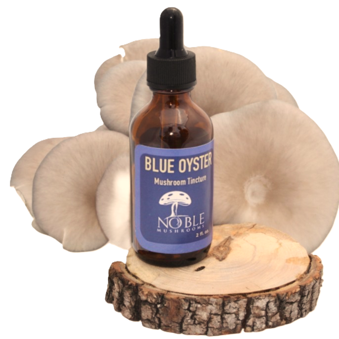Blue Oyster Mushroom Tincture — Daily Support for Vitality & Balance (2 oz)