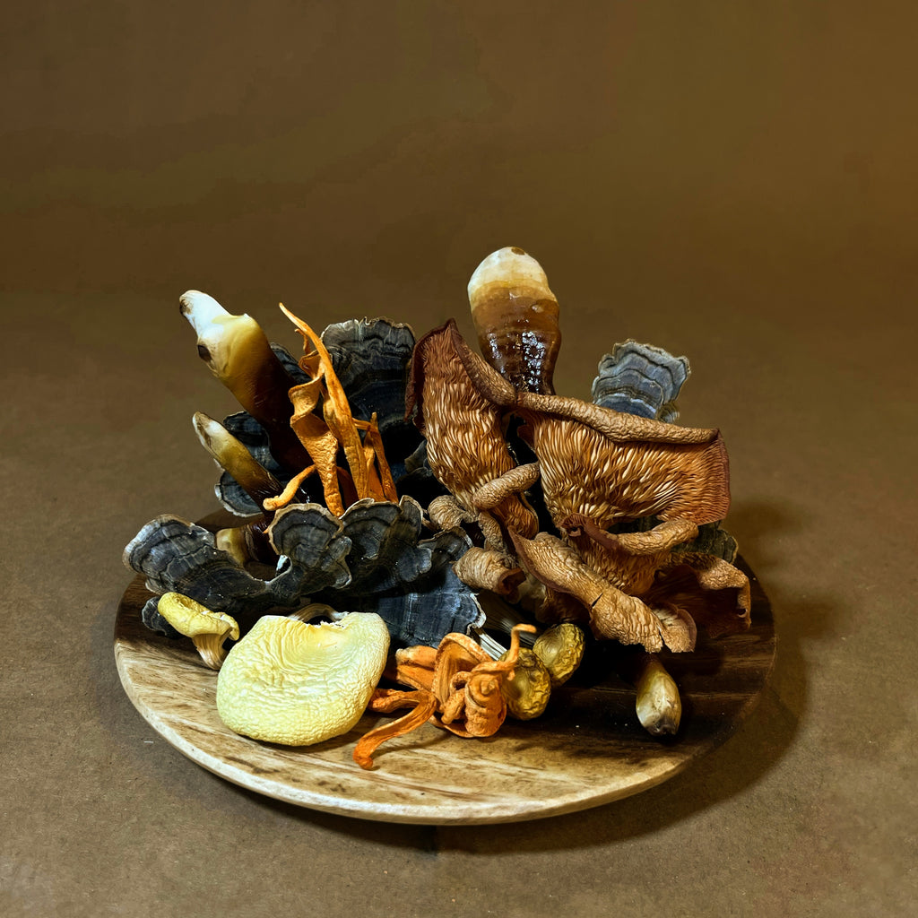 Dried Mushrooms, Pure, Potent, Farm-Grown