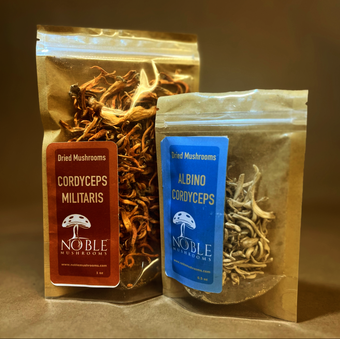 Functional Mushroom Powders — Pure, Potent, Farm-Grown