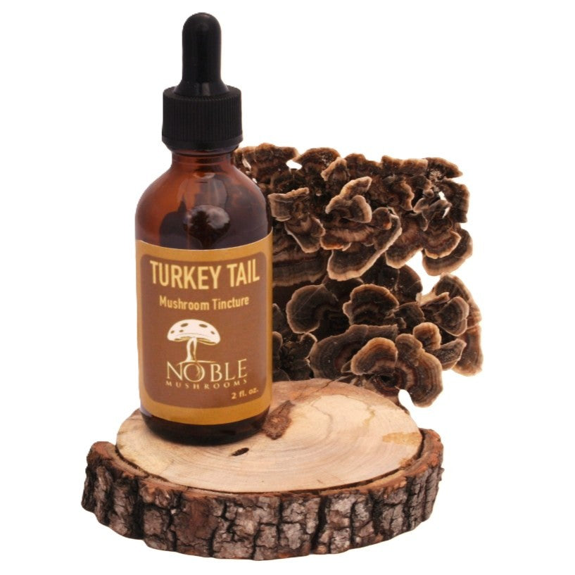 Turkey Tail Mushroom Tincture, Immune & Gut Support  (2 oz)
