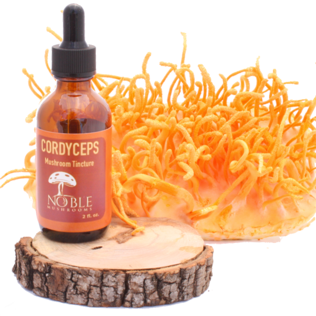 Cordyceps Mushroom Tincture — Energy & Endurance (2 oz)
