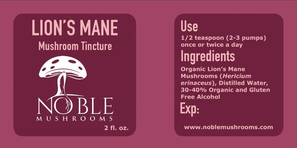 Lion’s Mane Mushroom Tincture — Focus & Clarity (2 oz)