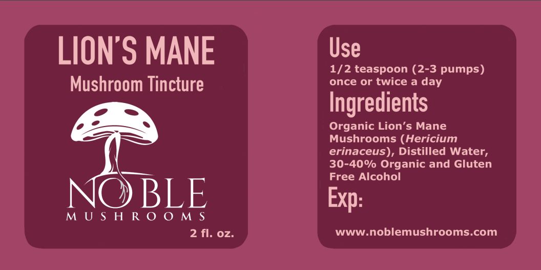 Lion’s Mane Mushroom Tincture — Focus & Clarity (2 oz)