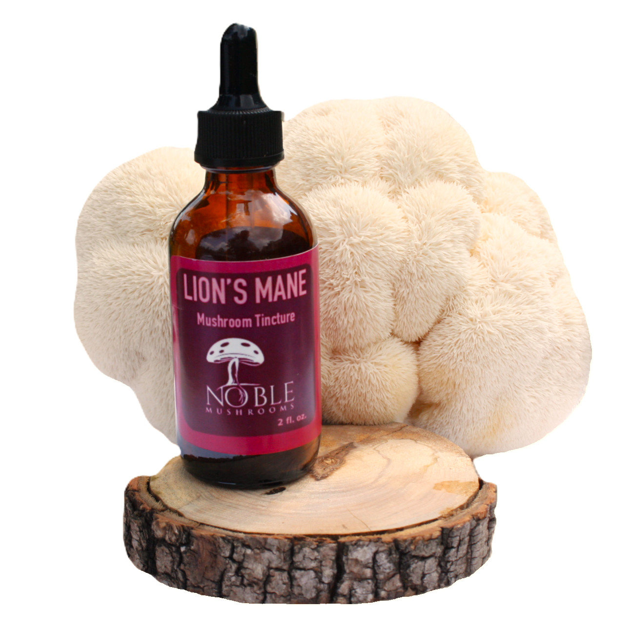 Lion’s Mane Mushroom Tincture — Focus & Clarity (2 oz)