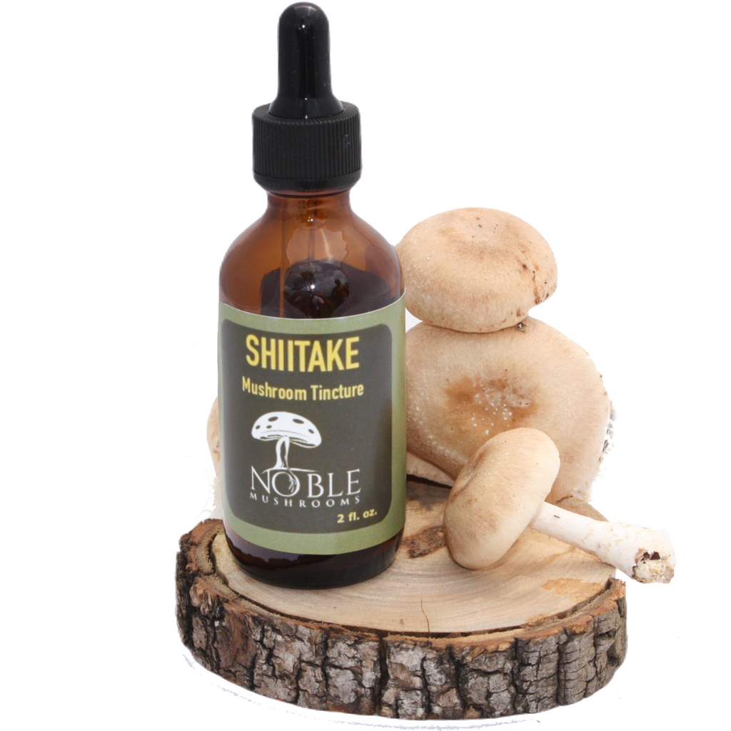 Shiitake Mushroom Tincture. Immune, Heart & Skin Support (2 oz)